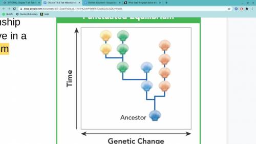 What does the graph below show about the relationship between time and genetic change HELP FAST !!!