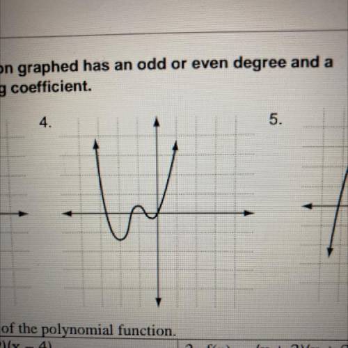 Identify whether the function graphed has an odd or even degree and a positive or negative leading