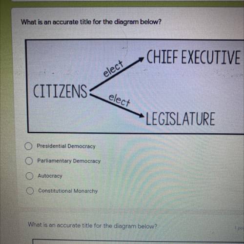 What is an accurate title for the diagram below?

1 point
CHIEF EXECUTIVE
elect
CITIZENS
elect
LEG