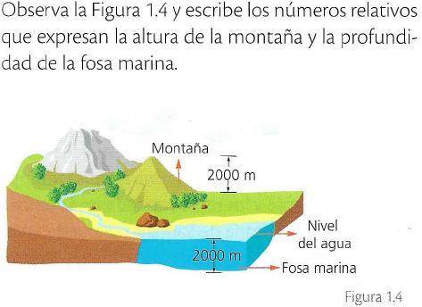 look at figure 1.4 and write the relative numbers that express the height of the mountain and the d