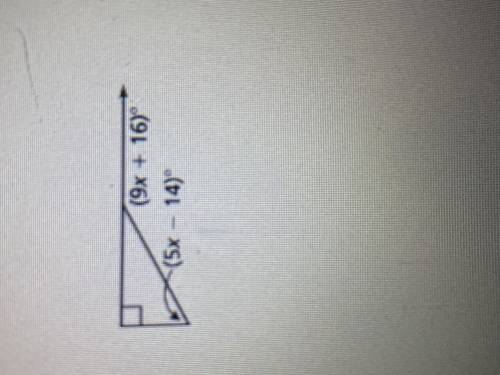 Find the value of x and the measure of the exterior angle.
