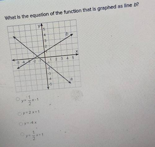 What is the equation of the function that is graphed as line b?​