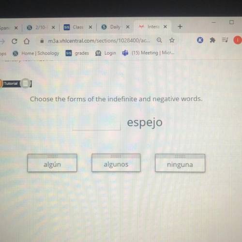 Spanish please help 
Choose the forms of the indefinite and negative words.
espejo