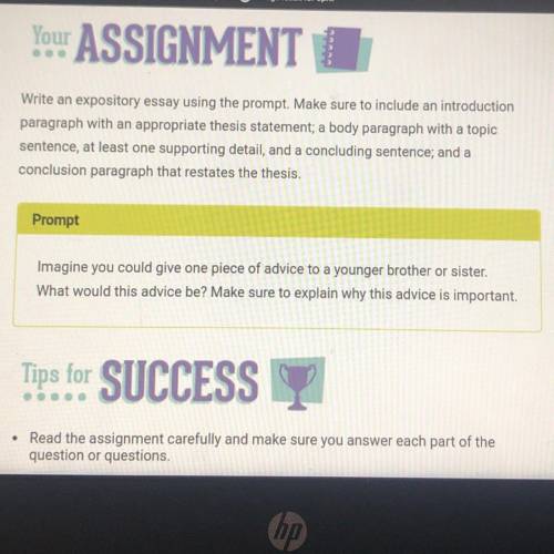 Write an expository essay using the prompt. Make sure to include an introduction

paragraph with a