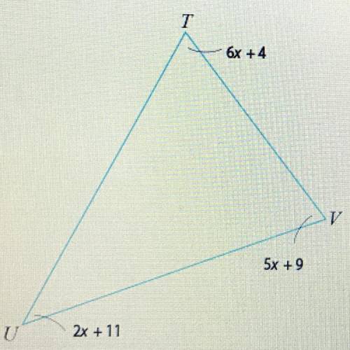 Use the Triangle Sum Theorem to find the measure of each angle.
m
m
m