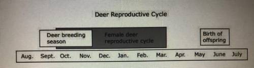 White tailed deer begin their reproductive cycle in the fall. Rising testosterone levels in

male