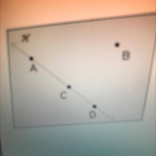 Plane H is shown.

Which points are coplanar and noncollinear?
O points A and D
Opoints C and D
O