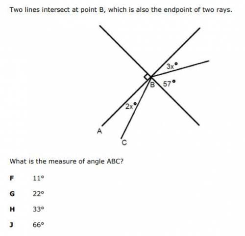 Two lines intersect at point B, which is also the endpoint of two rays.

What is the measure of an