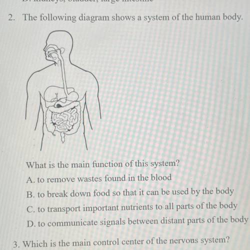 The following diagram shows a system of the human body. What is the main function of this system?