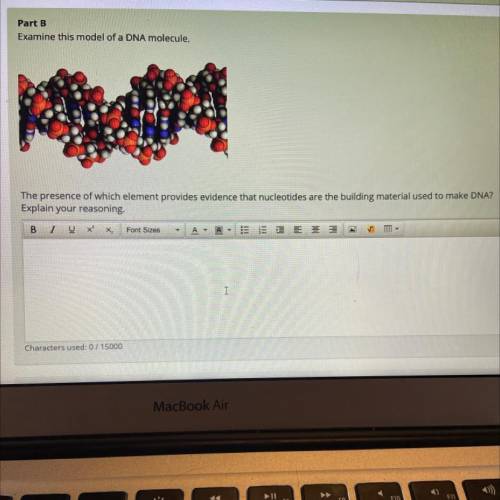 Part B

Examine this model of a DNA molecule.
The presence of which element provides evidence that
