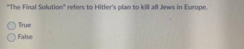 The Final Solution refers to Hitler's plan to kill all Jews in Europe.
True
False