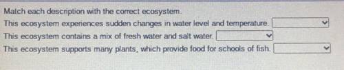 I need help with this please

Answer choices are:
Estuary 
Intertidal zone
Neritic zone