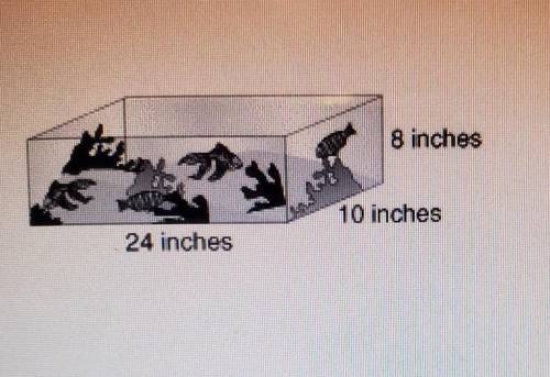 Cassandra's fish tank is 24 inches long , 10 inches wide , and 8 inches high . Assume there is a gl