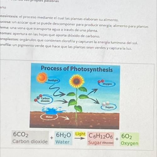 Can someone explain the process of photosynthesis using this picture 3-5 sentences please