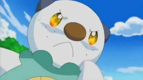 Is oshawott the best pokemon?

if you say no than he will 
kill you 
burn your house down
and wors