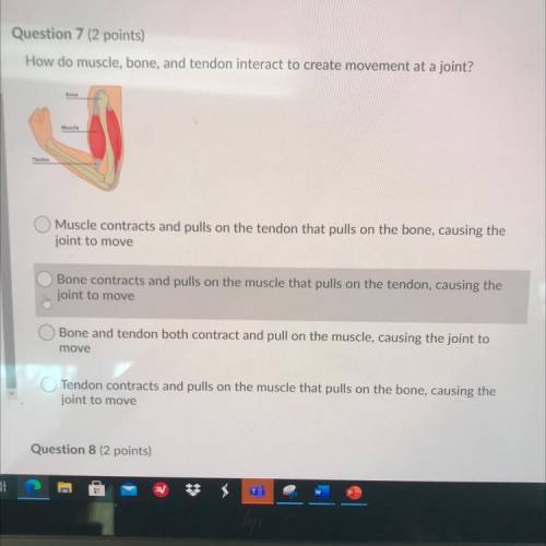 Question 7 (2 points)

How do muscle, 
bone, and tendon interact to create movement at a joint?
Mu