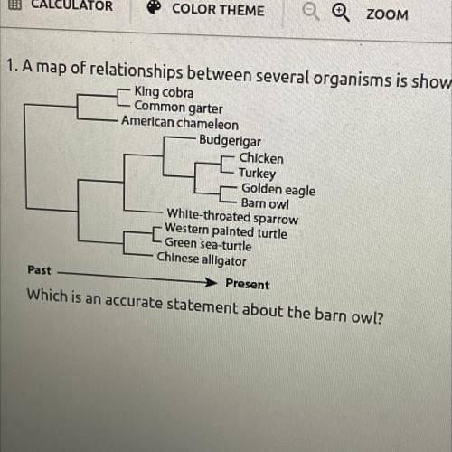 1. A map of relationships between several organisms is shown.
 

Which is an accurate statement abo