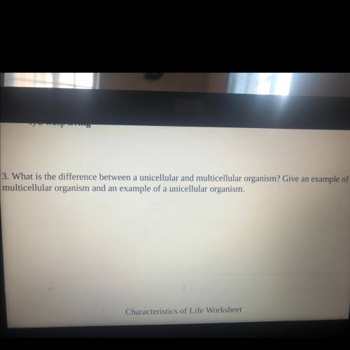 Help please wit lab homework