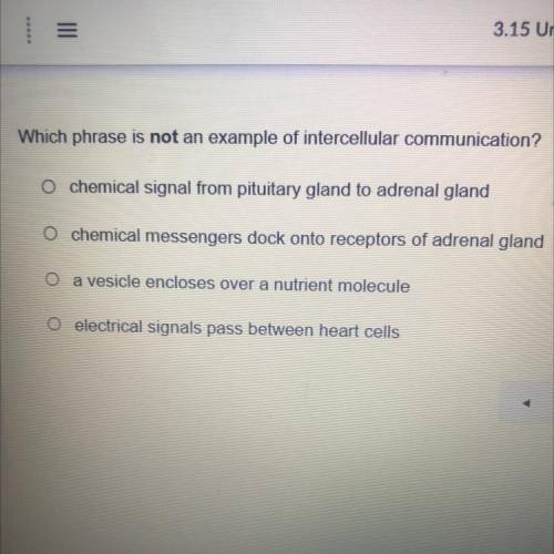 Which phrase is not an example intercellular communication?
