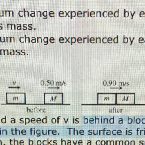 A block mass m = 34 kg and a speed of v is behind a block mass M = 81 kg and a speed of .5m/s, as s
