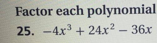 How do i factor the polynomial?