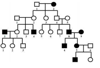 Use the following pedigree to answer the questions below. Assume that the trait is an autosomal rec