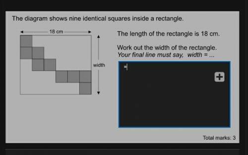 The diagram shows nine identical squares inside a rectangle​