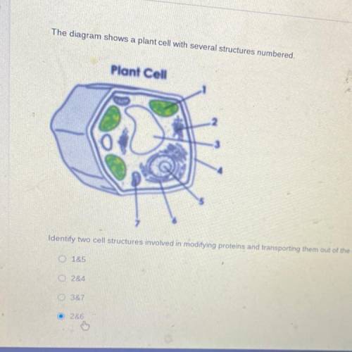 The Diagram shows a plant cell with several structures numbered?