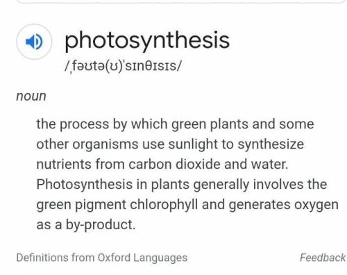 What does photosynthesis mean? pls give definition in ur own words.