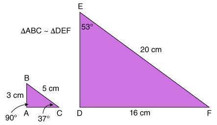 In the similar triangles below, what is the measure of ∠F

90°
74°
53°
37°
