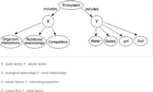 Help me plzzzzzzzzzzzzzz

Information relating to an ecosystem is contained in this diagram. Which