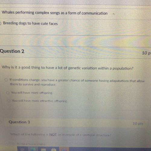 Question 2 (ignore this) Why is it a good thing to have a lot of genetic variation within a populat