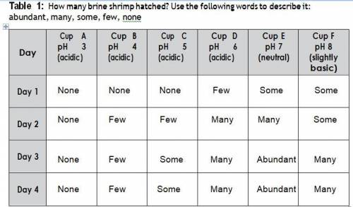 Make a graph (bar or line) comparing the hatching of brine shrimp in the different cups. Along the