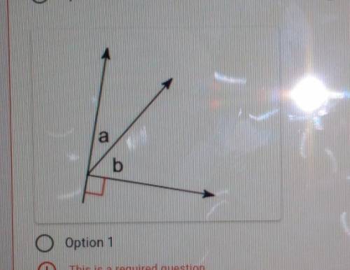 What picture shows that angle A and angle B are supplementary angles?​