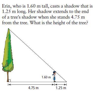 WILL GIVE BRAINLIEST!! What is the height of the tree? DO NOT ROUND.