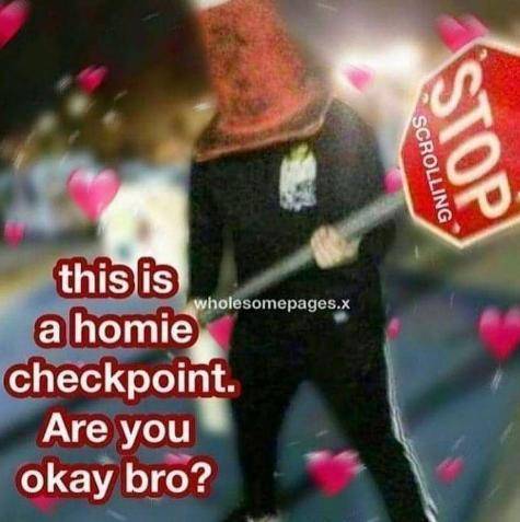 HoLd oN -Homie checkpoint-
Are you ok Homie?