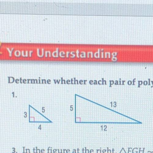 Determine whether each pair of polygons is similar. Explain.