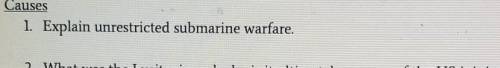 Can someone please explain unrestricted submarine warfare