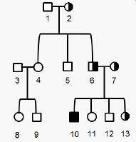 The pedigree below is for a family that has the allele for thalassemia, a recessive genetic disorde