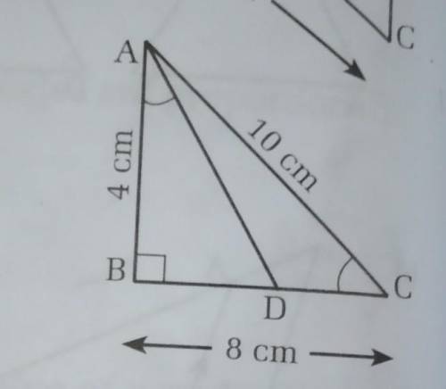 In the figure, ∠BAD = ∠ACD and △ABD ~ △ABC. Find the length of BD.