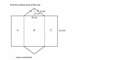 Find the surface area of this net.
square centimeters