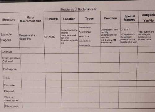 Structures of bacterial cells.

what are the major macromolecule for Capsule, gram-positive cell w