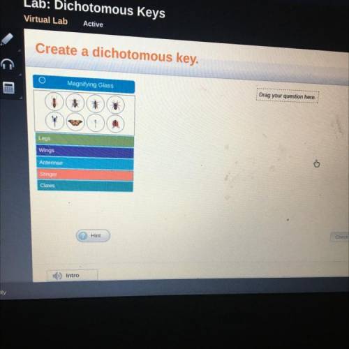 Virtual Lab

Active
Create a dichotomous key.
O
Magnifying Glass
Drag your question here.
Legs
Win