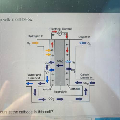 Which half reaction occurs at the cathode in this cell?

2003--O2 + 2002 + 4e-
+ 2002 + 4e--> 2