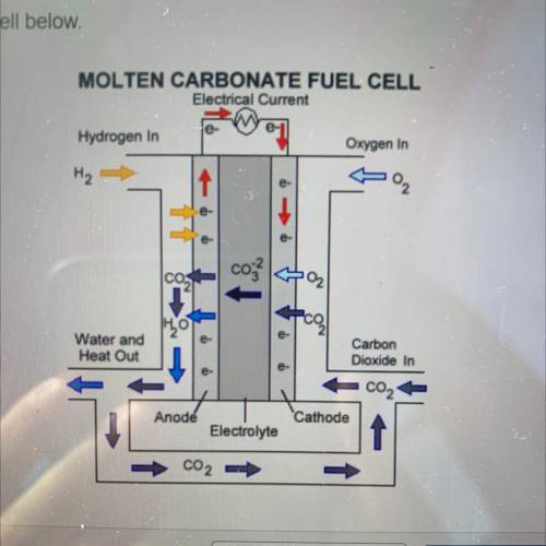 Which statement is true about this fuel cell?

It is self contained like a battery.
It continually
