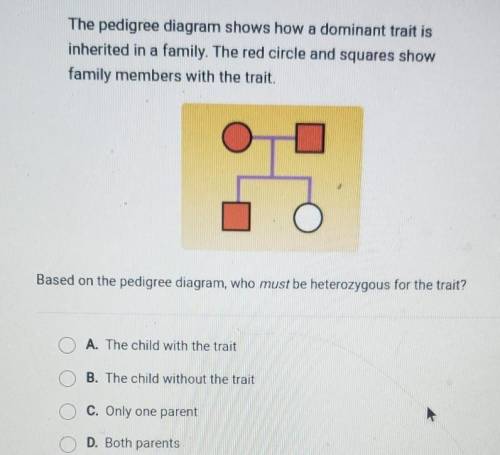The pedigree diagram shows how a dominant trait is inherited in a family. The red circle and square