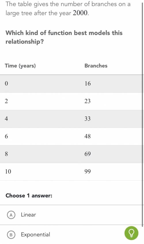 The table gives the number of branches on a large tree after the year 2000. Which kind of function