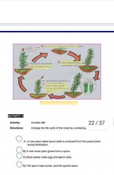i need help?? in science pls help me?? to arrange the life cycle of the moss by numbering pls give