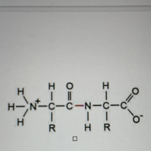 6. Would the molecule shown below likely to be soluble (dissolve) in water? Explain.