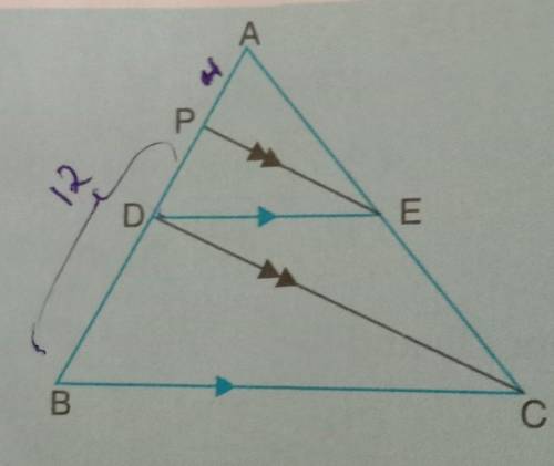 (ii) In the given figure, DE || BC andPE || DC. If AP = 4 cm, PB = 12 cm,find AD.​